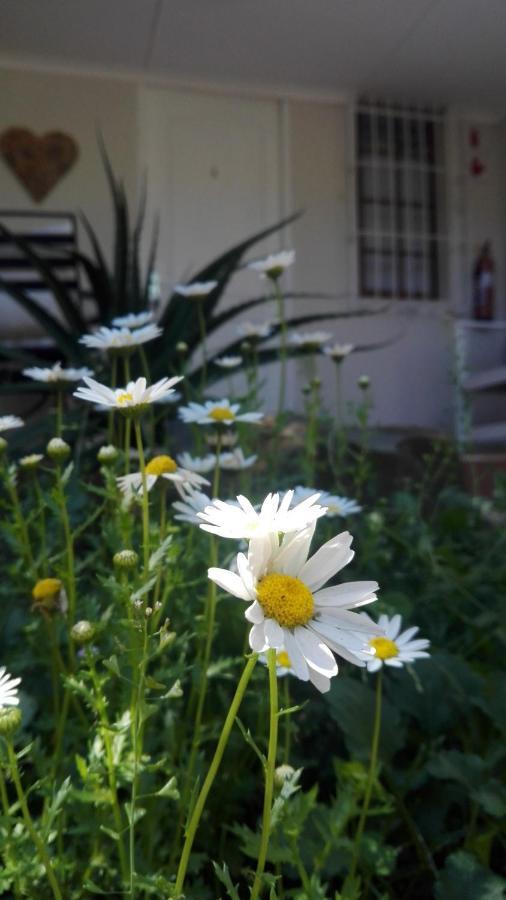 Country Lane Guesthouse Howick Ngoại thất bức ảnh